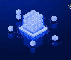 What-is-a-blockchain-node,-and-how-is-it-used-in-cryptocurrency