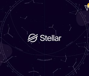 Step-by-Step-Guide-on-Building-a-Stellar-App-from-Scratch