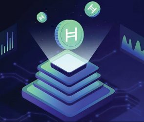 All-You-Need-To-Know-About-Hedera-Coin-100