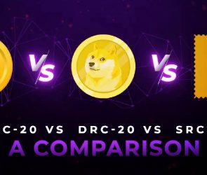 How-Are-BRC-20-vs-DRC-20-vs-SRC-20-Different-