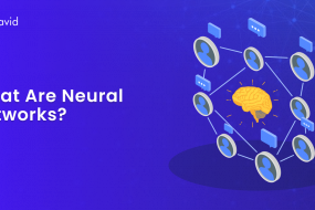What Are Neural Networks