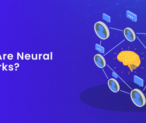 What Are Neural Networks