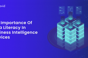 The Importance of Data Literacy in Business Intelligence Services