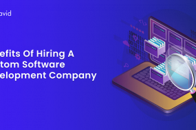 Benefits of Hiring a Custom Software Development Company