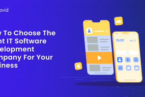 How to Choose the Right IT Software Development Company for Your Business