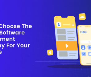 How to Choose the Right IT Software Development Company for Your Business