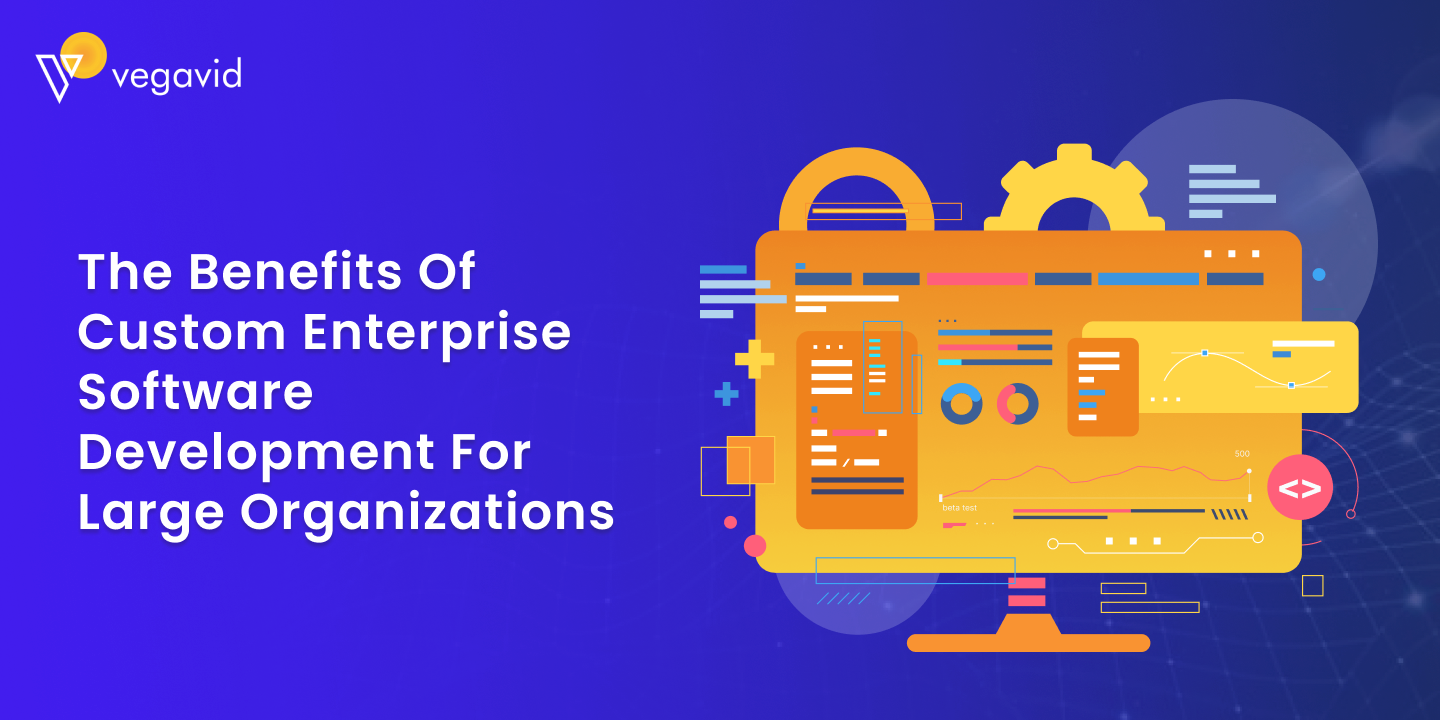 The Benefits of Custom Enterprise Software Development for Large Organizations