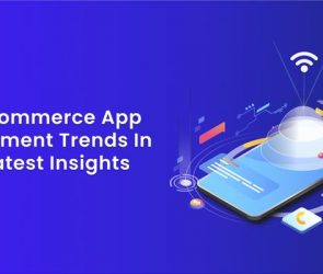 Top E-commerce App Development Trends in 2025 _ Latest Insights