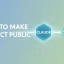 How to Make Claude Project Public