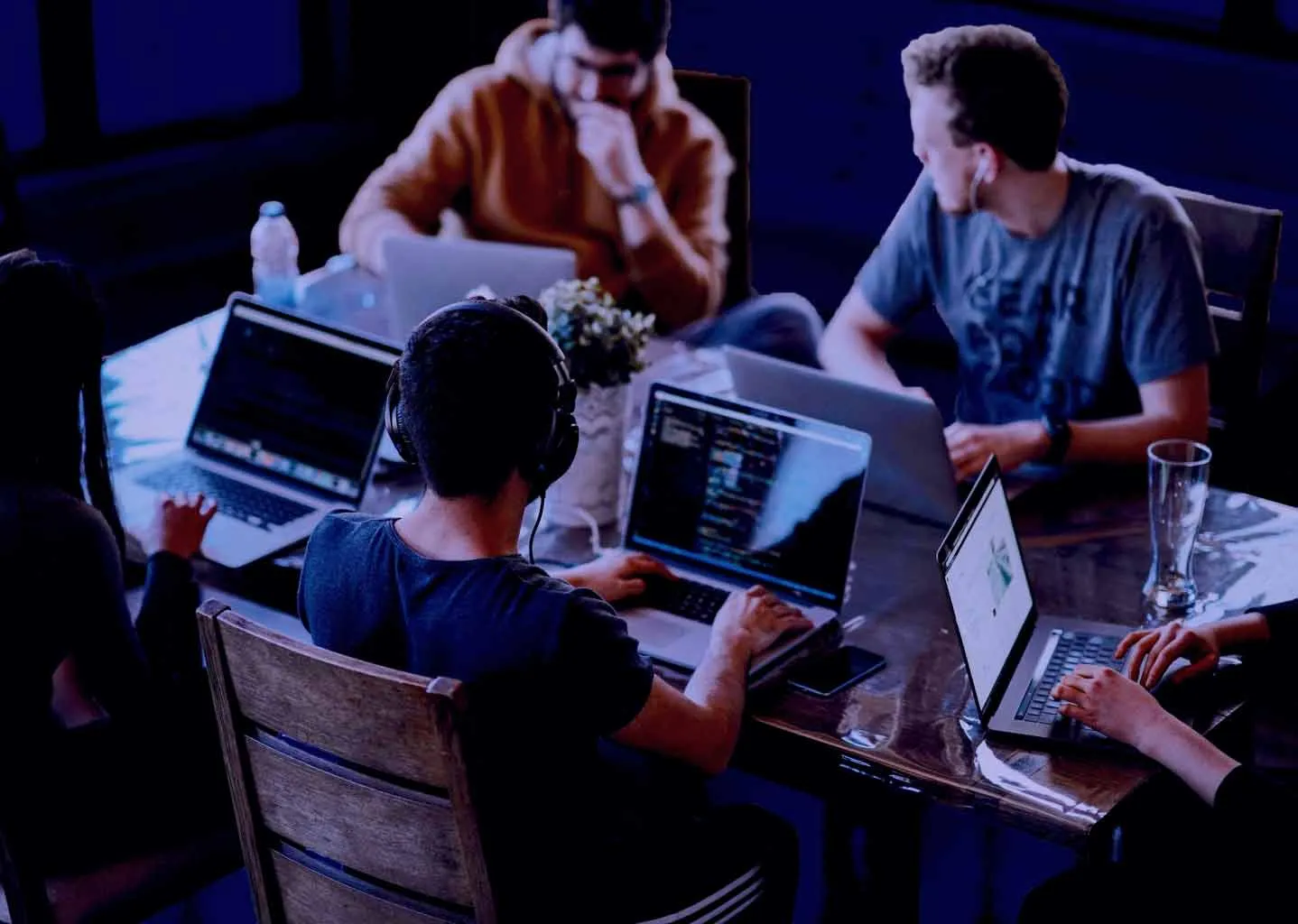 WELCOME TO VEGAVID CAREER career