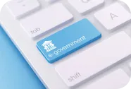 Government