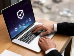 Security Vulnerability Detection in Germany