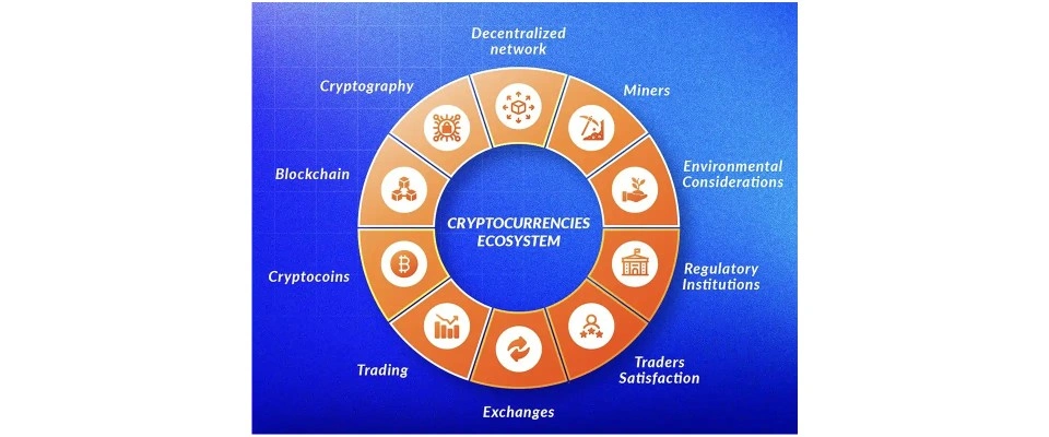 OVERVIEW Bithashex Client Requirement